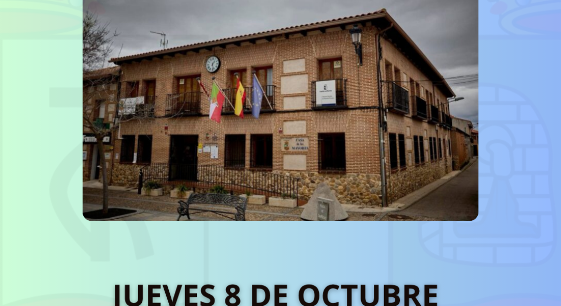 PLENO ORDINARIO