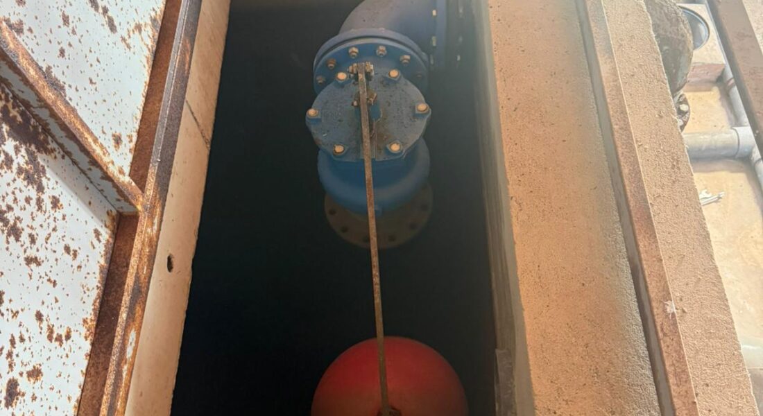 WhatsApp Image 2026-04-14 at 12.02.24